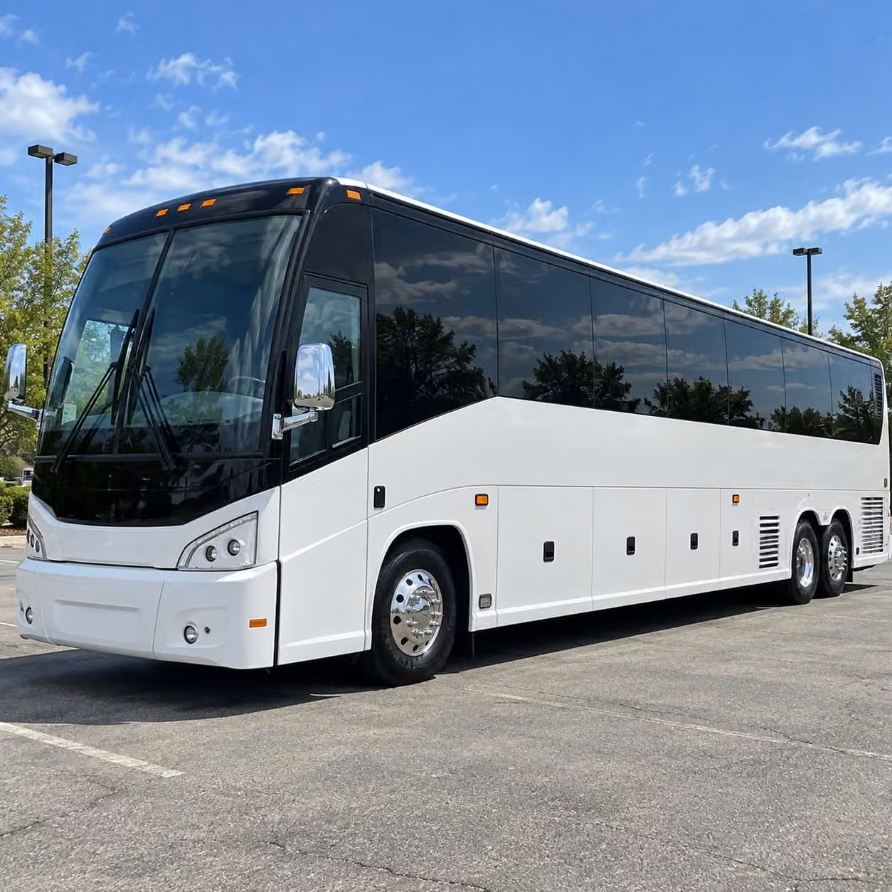 56 passenger charter bus